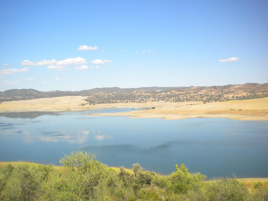 Palomas 2*